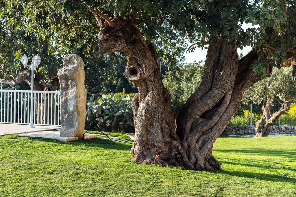 Il Giardino Dei Frangipani Santa Croce Camerina Exterior foto